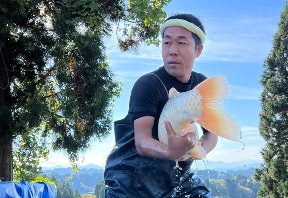 ธรรมเนียมการเลือกซื้อปลาที่ญี่ปุ่น