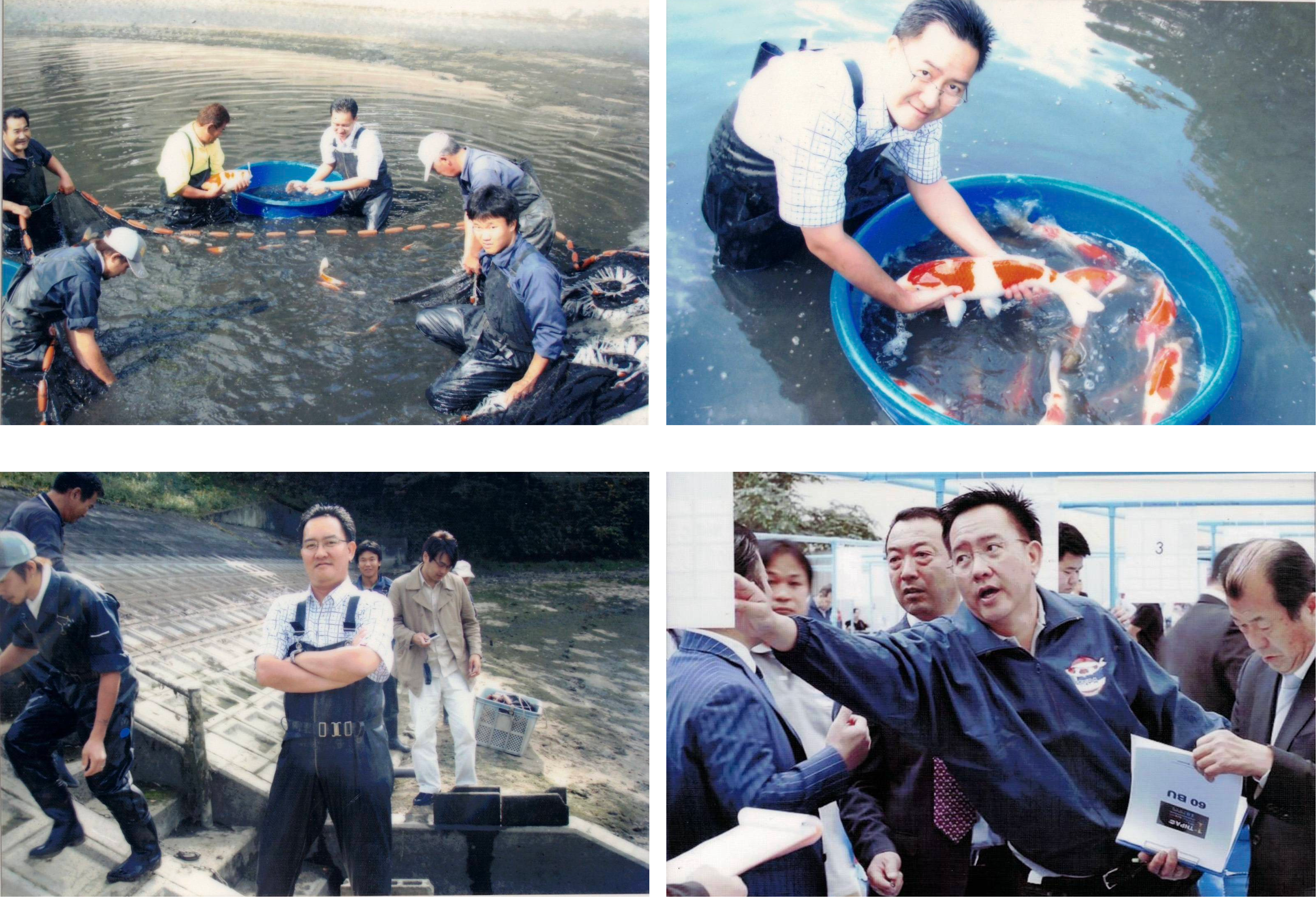 importing-koi-from-japan-banner